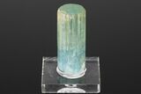 Bi-Colored Aquamarine Crystal - Transbaikalia, Russia #175644-1